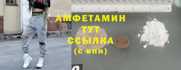 сатива Абинск