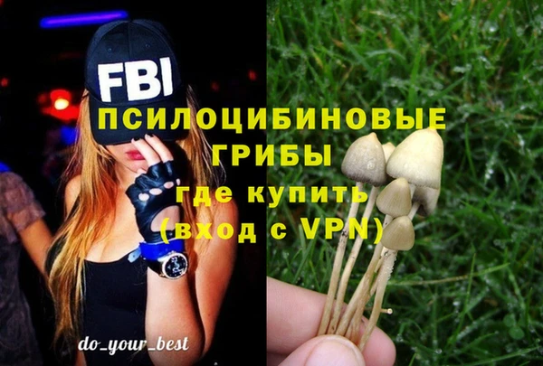 первитин Абаза