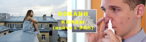 сатива Абинск