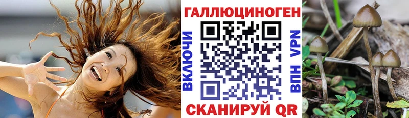Галлюциногенные грибы Magic Shrooms Тырныауз